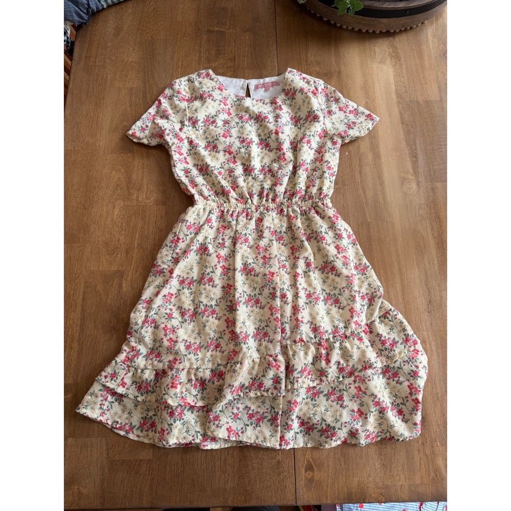 BCBG Girls Floral Eyelet Dress Size 12 Pink Cream Short Sleeve Tiered Ruffle